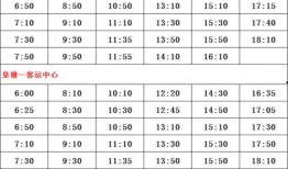 最新爆料篮网球员名单表,最新名单曝光，实力升级引期待
