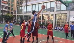 篮球最新爆料网站大全,一网打尽篮球资讯热点