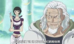 雷利最新爆料视频大全,揭秘幕后真相与精彩瞬间