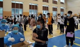 鲨鱼最新爆料消息视频,揭秘最新视频背后的惊人真相