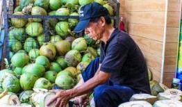 吃鸡最新爆料椰子,吃鸡战场上的神秘生成物揭秘