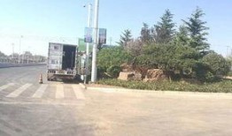 红岛街道最新爆料,揭秘神秘事件背后的真相