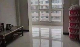 毛豆3最新款外观爆料,科技感十足，引领潮流新风尚”