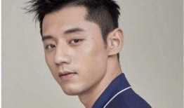 金晨张继科最新爆料,揭秘恋情背后的真相与抉择