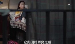 蛇姐最新爆料视频网,娱乐圈惊人内幕大曝光！