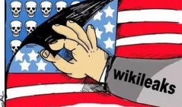 cia最新爆料网址,揭秘神秘网络事件背后的真相