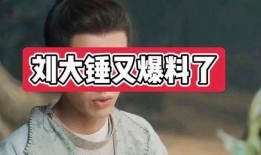 刘大锤最新爆料沈月,娱乐圈新动态引热议