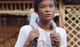 黄哥最新爆料新闻直播,最新爆料新闻直播背后的惊人真相