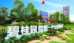 开封碧桂园爆料最新消息,揭秘项目进展与未来规划