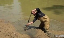 最新爆料农人老肥,揭秘农村致富新传奇