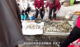 最新爆料农人老肥,揭秘农村致富新传奇